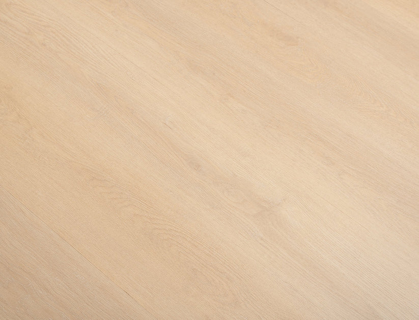 Timeless Coastal Oak 2.5mm Glue Down LVT