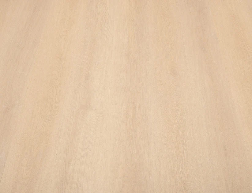 Timeless Coastal Oak 2.5mm Glue Down LVT