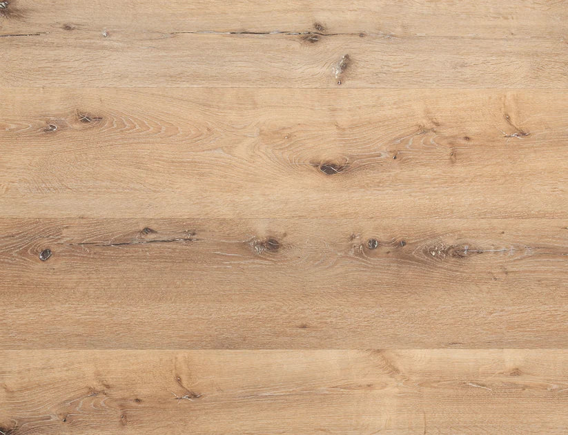 Timeless Frosted Ash Oak 2.5mm Glue Down LVT