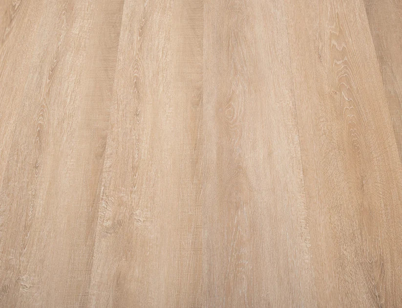 Timeless Oat Beige Oak 2.5mm Glue Down LVT