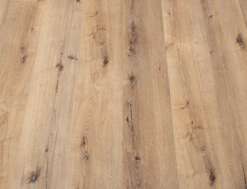 Timeless Frosted Ash Oak 2.5mm Glue Down LVT