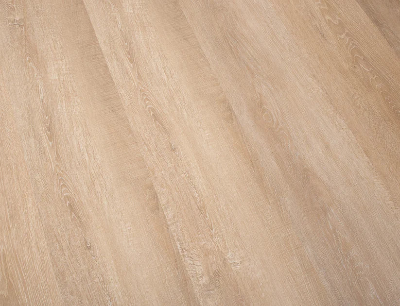 Timeless Latte Oak 2.5mm Glue Down LVT
