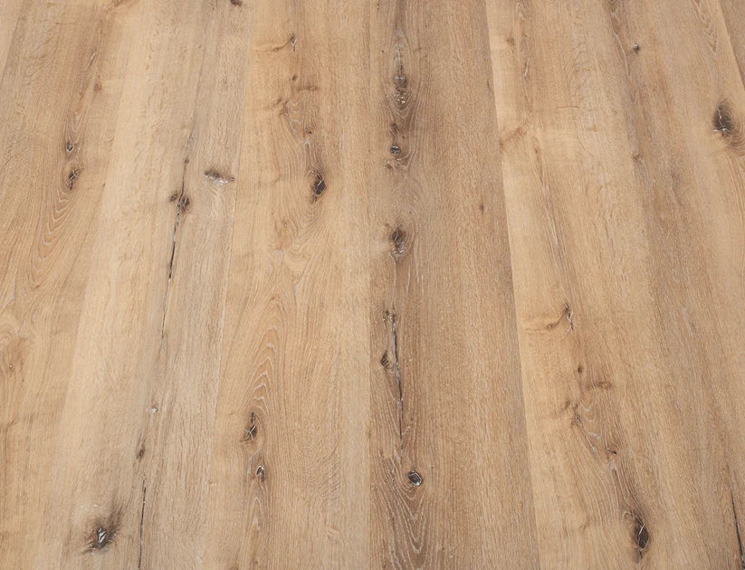 Timeless Retreat Oak 2.5mm Glue Down LVT